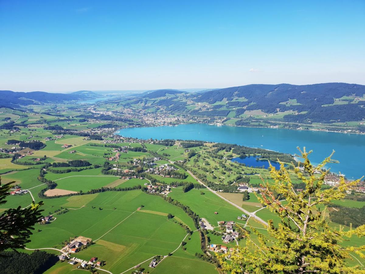 Ferienwohnung Lindpointner Innerschwand Dış mekan fotoğraf